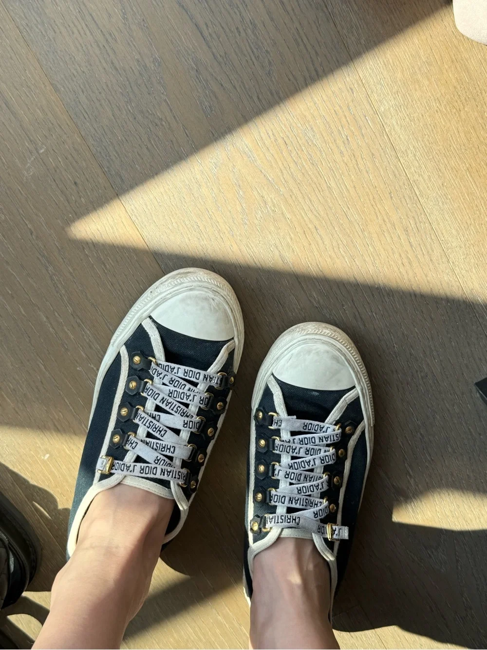 Dior Black and White Classic Sneakers
